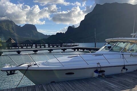 Außergewöhnliche Walbeobachtung an Bord einer Tahiti-Yacht