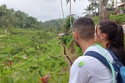 Tour della foresta delle scimmie sacre del Monte Batur di un'intera giornata nell'isola di Bali