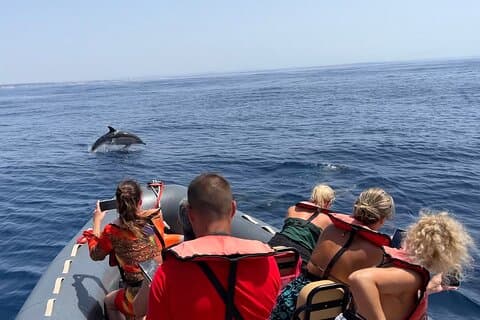Dolphins & Benagil Caves with Biologist guide