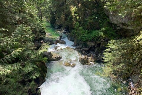 Hike and Bike the Vancouver Forests