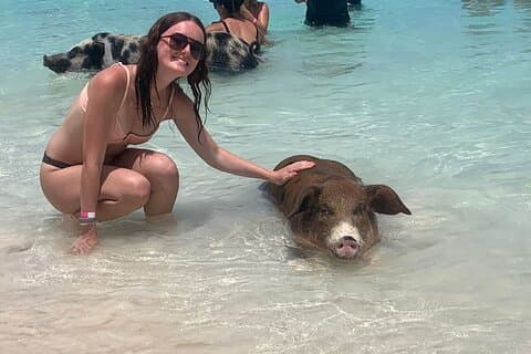 Nassau: Halvdag Reef snorkling, skildpadder og svømmende svin