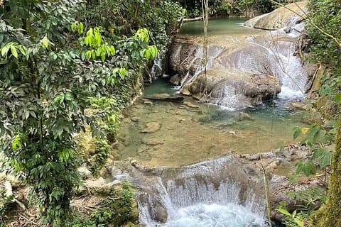 Benta River & Falls Privat rundtur från Montego Bay/Negril