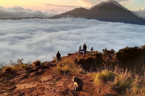 バトゥール山ハイキングと棚田訪問
