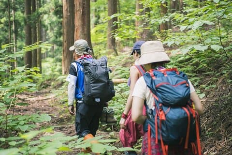 Heldags guidet trekkingtur i Bach Ma National Park Vietnam
