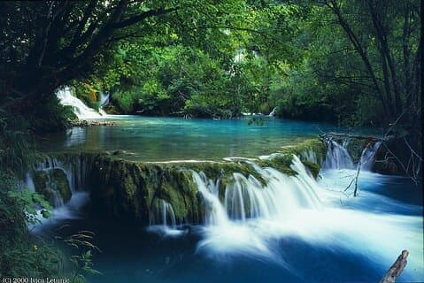Fra Hue City: Privat vandretur i Bach Ma National Park