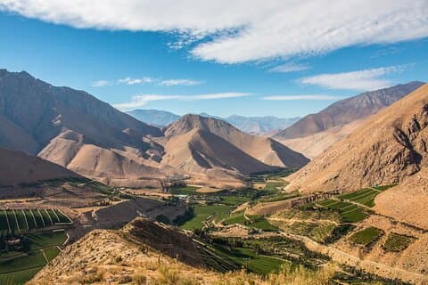 Elqui Valley Tour: History and Flavors