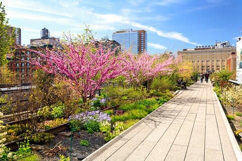 Privat omvisning i High Line, Chelsea, Hudson Yards og Edge