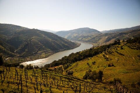 Tour privato di un'intera giornata sulla diversità del vino della Valle del Douro