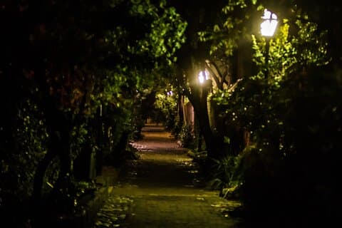 Tour a piedi notturno guidato dal lato oscuro di Charleston
