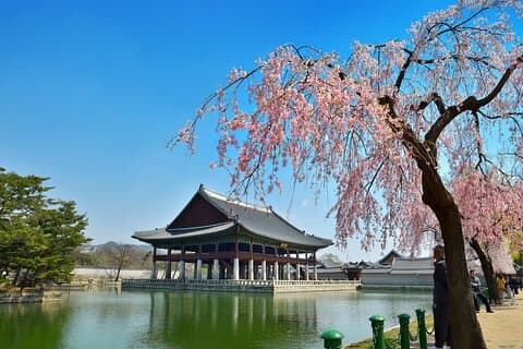 Seoul Heldag privat tur Gyeongbokgung Palace, Insadong og mer