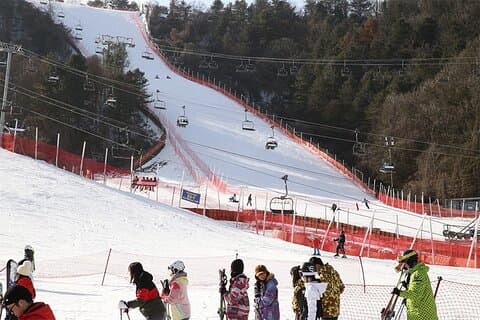Heldags privat tur Nami Island & Gangchon Elysian Ski