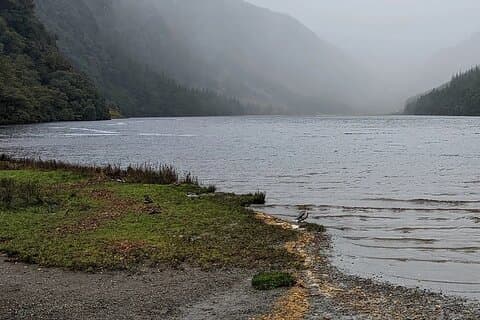 Privat luksustur i Wicklow, Glendalough og Powerscourt Gardens