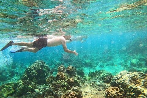 Beach Snorkel - Sea Turtle och Black Sand Lagoon