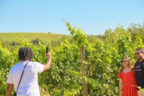 Florence: Privé Chianti-tour van een hele dag en lunch in een wijnmakerij Optioneel
