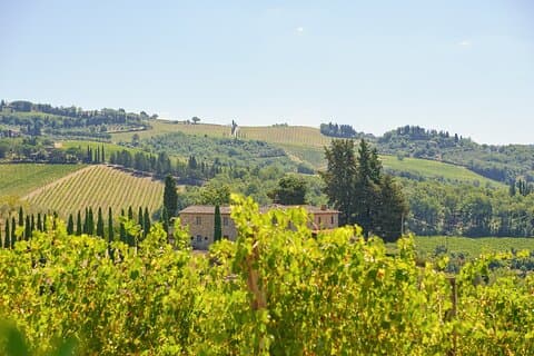 Florence: Tour Chianti privado de meio dia e degustação de vinhos Opcional