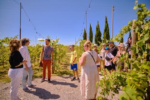 Dagtour Siena, San Gimignano en Chianti wijnen vanuit Florence