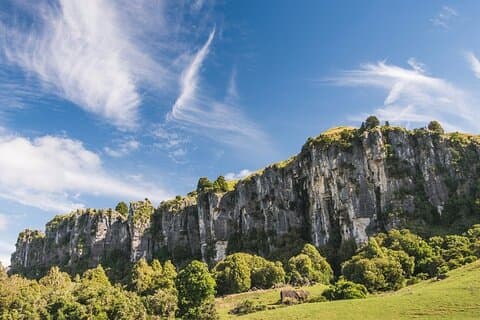 12 uur durende LOTR Trollshaws & Waitomo Glowworm Tour