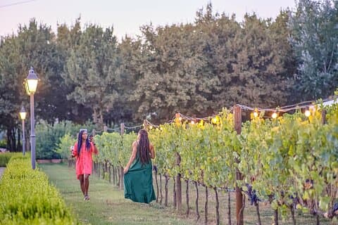Eksklusiv Winery Tour med smagning og middag i Chianti vingård