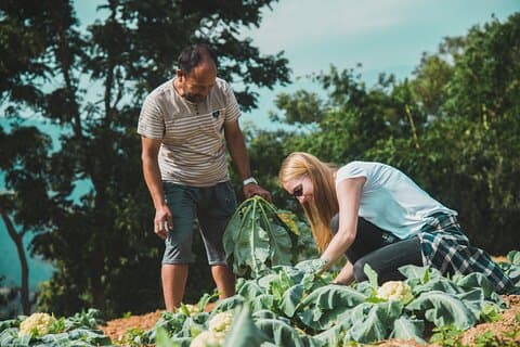 Landsbylivserfaring i Patlekhet