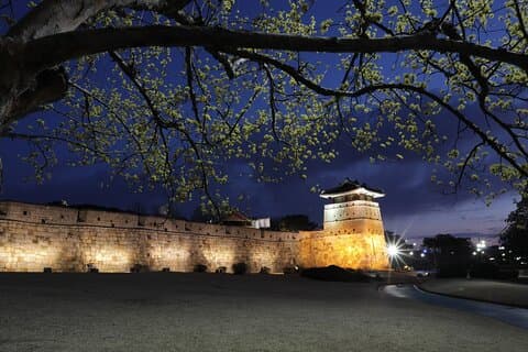 5D4N Suwon+Danyang Trekking Tour (4 star hotel)