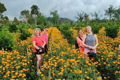 Mount Batur til Ubud – sykkelferie