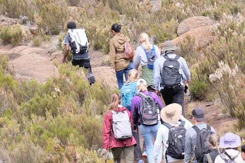 Trekking de medio día al Monte Kilimanjaro