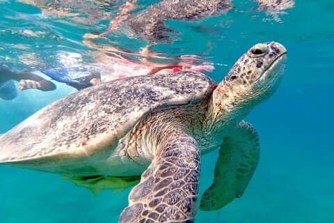 Abu Dabab Full-Day Private Experience with tickets from Hurghada