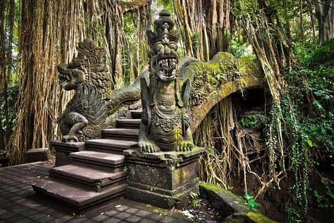 Bali Ubud Tour: Foresta delle scimmie, Cascate e Terrazza del riso