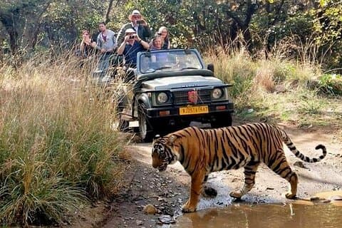 Tour de 7 días al Triángulo Dorado con Ranthambore Tiger Safari