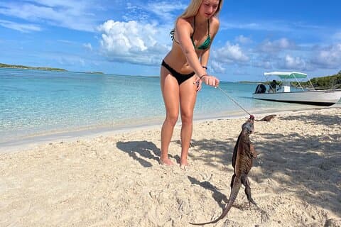 Privat Exuma Cays Day: Iguana, Haj, Grisar, Sandbar & Lunch