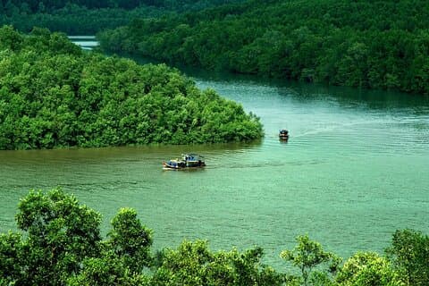 Visite privée de l'île de la forêt de mangroves de Can Gio au départ de Hô Chi Minh-Ville