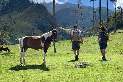 Halvdags Cocora Serenity Adventures