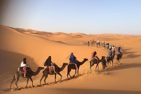 Studerende Marokko Tours