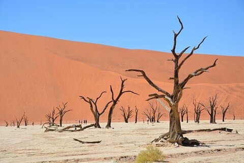 2 dagars guidad tur i Sossusvlei och Sandwich Harbor