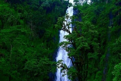 Materuni-Wasserfall – Kaffeetour ODER Tour zur Chemka-Thermalquelle