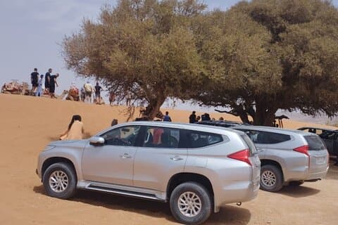 Full-Day Tour of the Little Sahara, Tiznit & Local Lunch