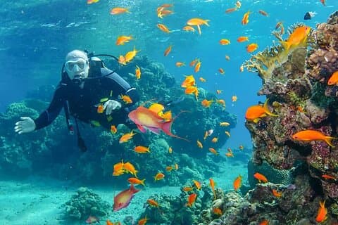Snorkeltur från Luxor till Röda havet