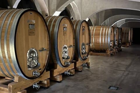Tour Privado Bodegas en Mendoza con Almuerzo Gourmet