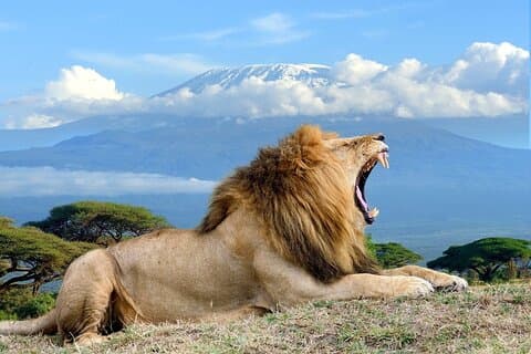 Pernottamento al Parco Nazionale di Amboseli