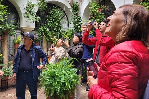 Cordoba Private Tour mit Eintritt in die Moschee ab Sevilla