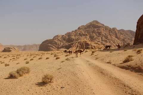 Wadi Rum heldags jeep-tur