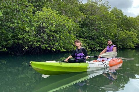 4 Waters Eco Adventure från Phuket inklusive lunch