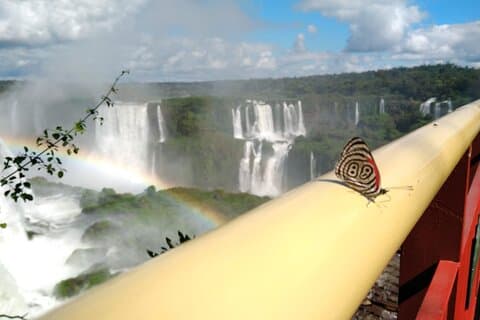 Côté brésilien des Cataratas et Parque Das Aves avec billets