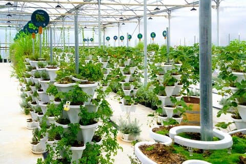 Expérience agricole de 2 heures dans la Gateway Yarra Valley