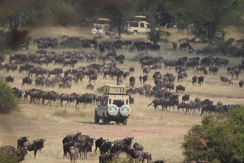 7 Days Journey of the Wildebeest – Luxury Holidays Serengeti