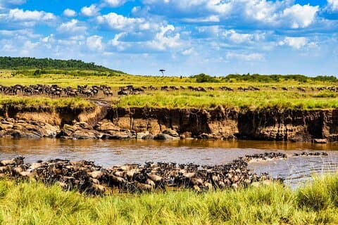 3 dage 2 nætter Maasai Mara guidet safaritur