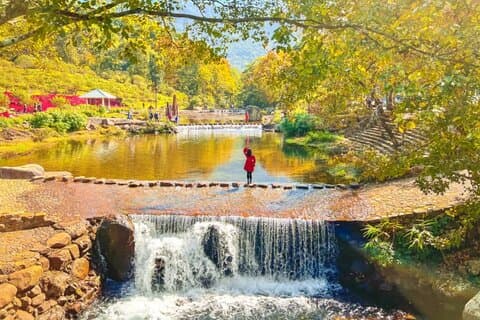Visite privée d'une journée au parc forestier national de Shimen et aux sources chaudes de Conghua