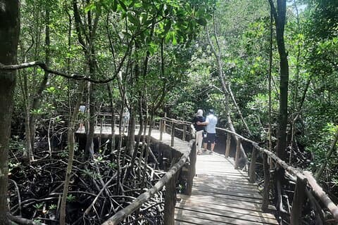 Spice Tour en Jozani Forest