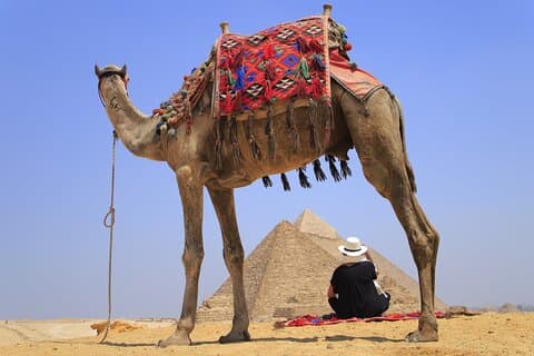 Tour giornaliero delle piramidi di Giza, della Sfinge e del Museo Egizio