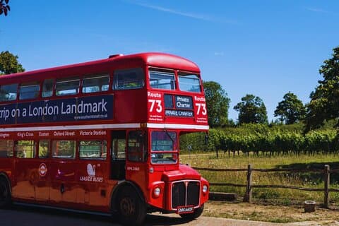 Sussex Vineyard & Winery Bus Tour op iconische vintage Londense bus